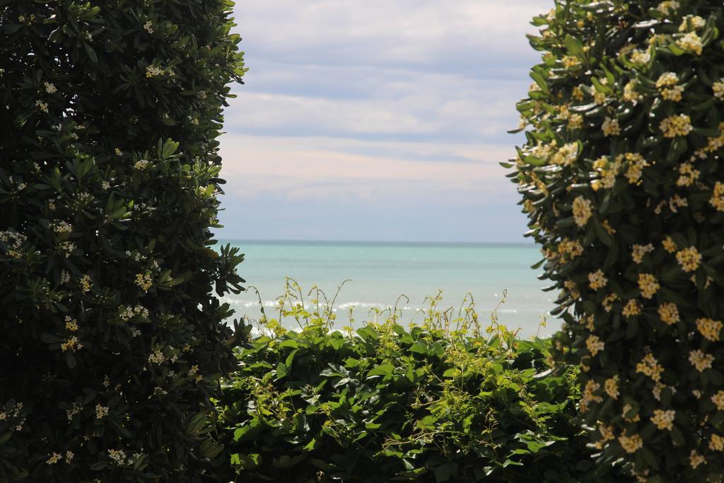 All'Etrusconia Hotel Castagneto Carducci Marina di Castagneto Carducci Exteriér fotografie